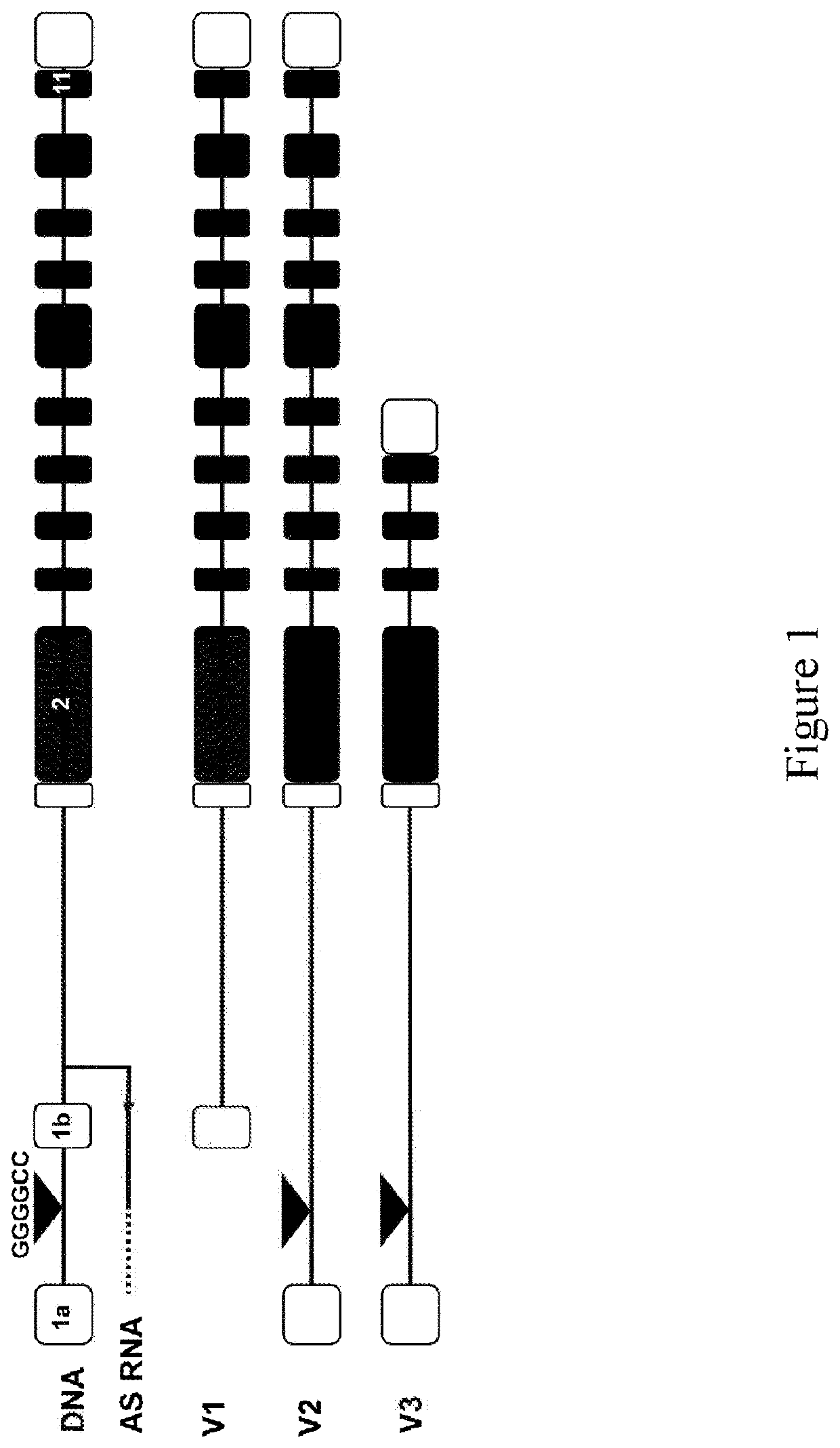 Rnai induced c9orf72 suppression for the treatment of als/ftd