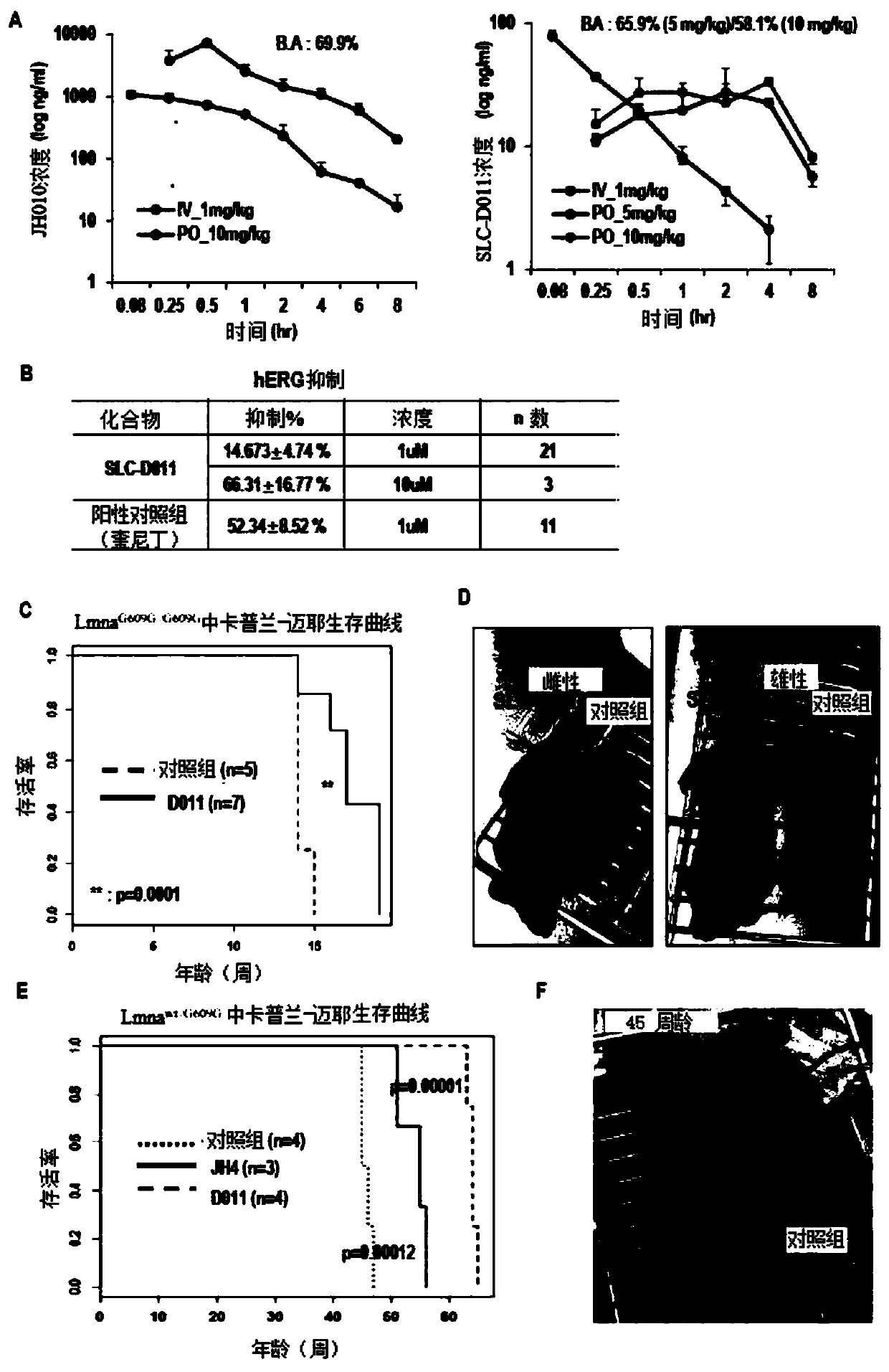 Pharmaceutical composition for preventing or treating aging-related diseases containing decursin derivative as active ingredient