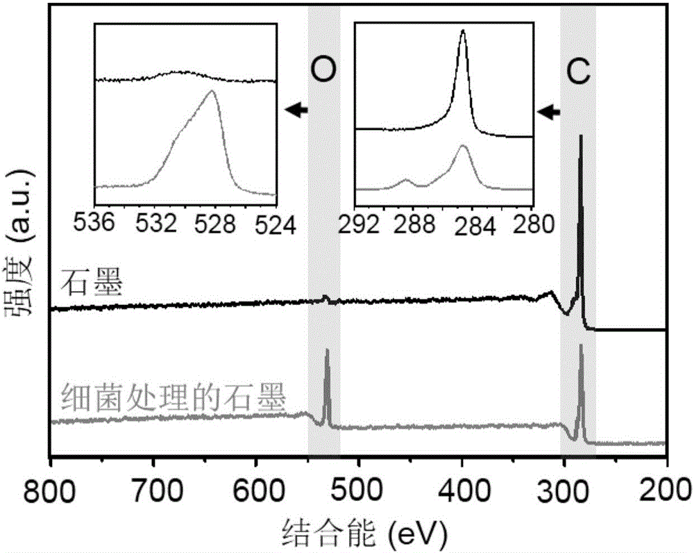 Method for oxidizing and degrading graphite material through naphthalene degrading bacteria