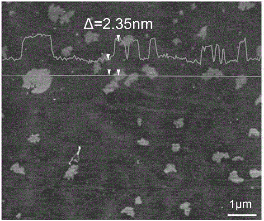 Method for oxidizing and degrading graphite material through naphthalene degrading bacteria