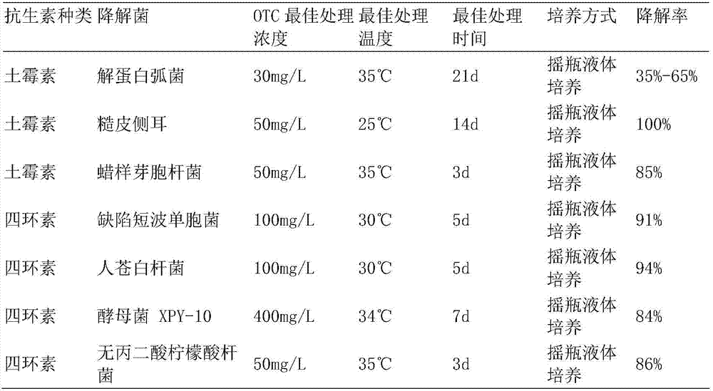 Irpex lacteus and application thereof