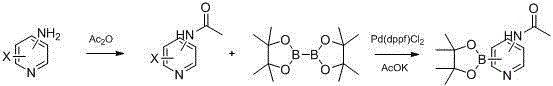 Preparation method of commonly used acetamidopyridine boronic acid pinacol ester