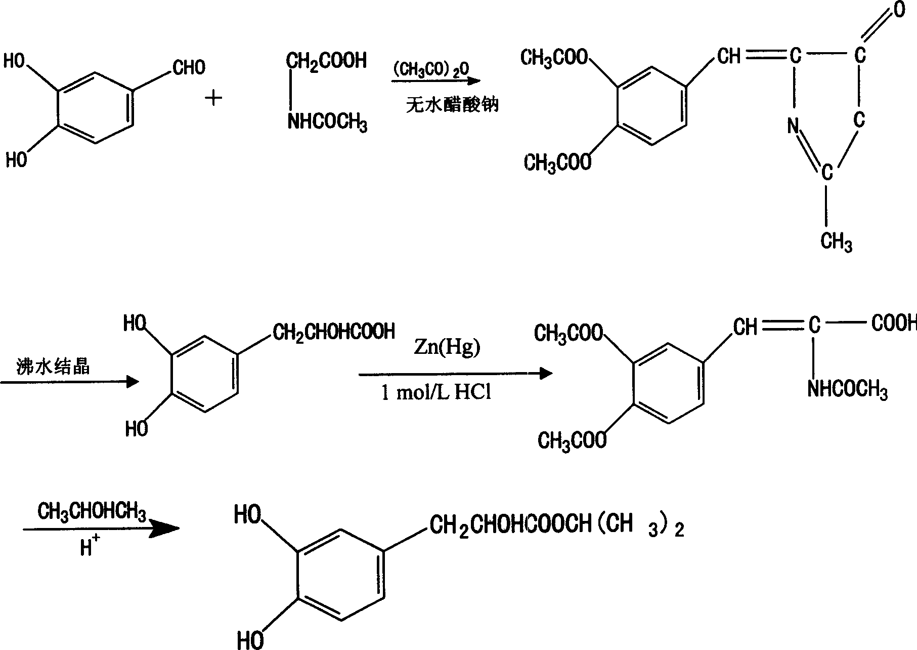 Beta (3,4-dihydroxyphenyl)-alpha-hydroxyisopropyl propionate and its synthesis