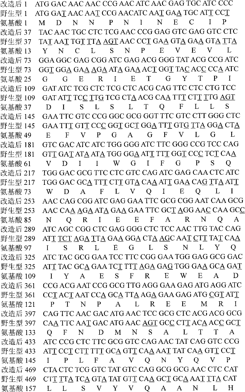 Pesticidal protein encoding gene Cry1Ab-Ma and expression vector and application thereof