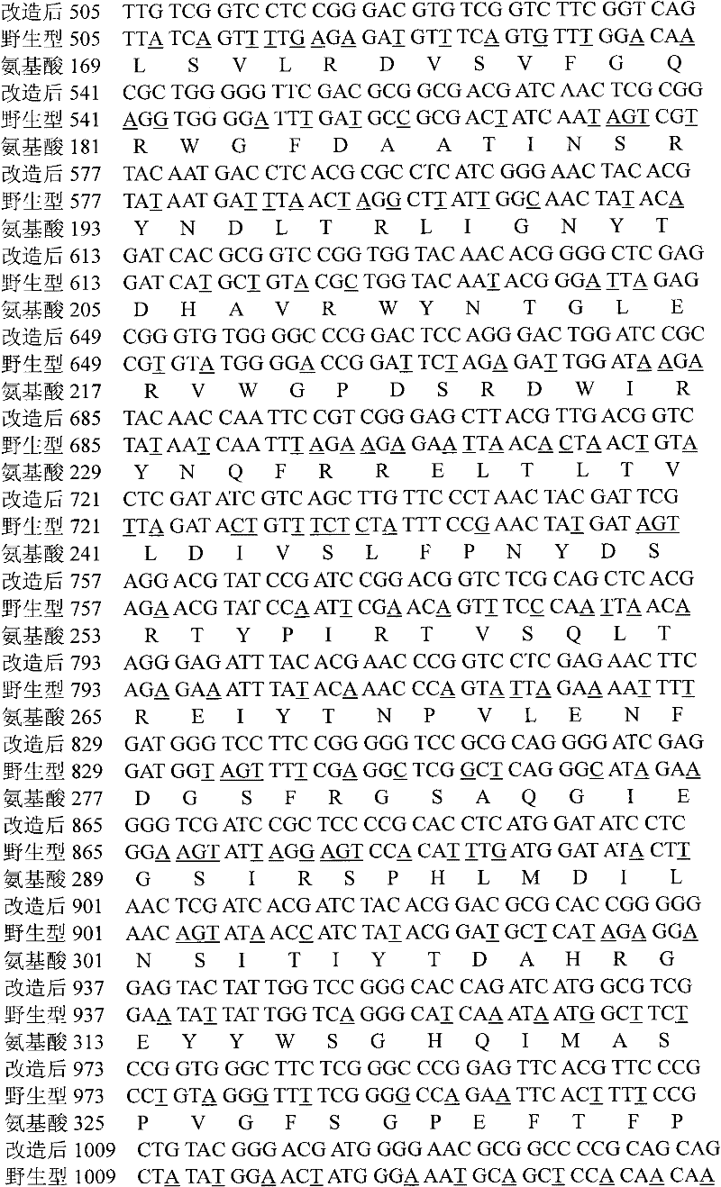 Pesticidal protein encoding gene Cry1Ab-Ma and expression vector and application thereof