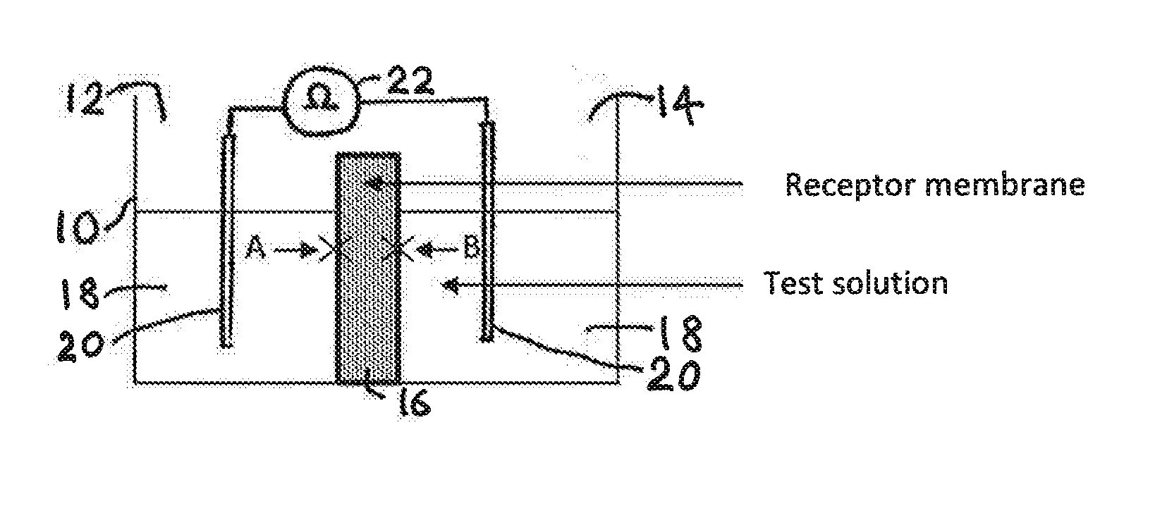 Phosphate sensor, its use and its method of preparation