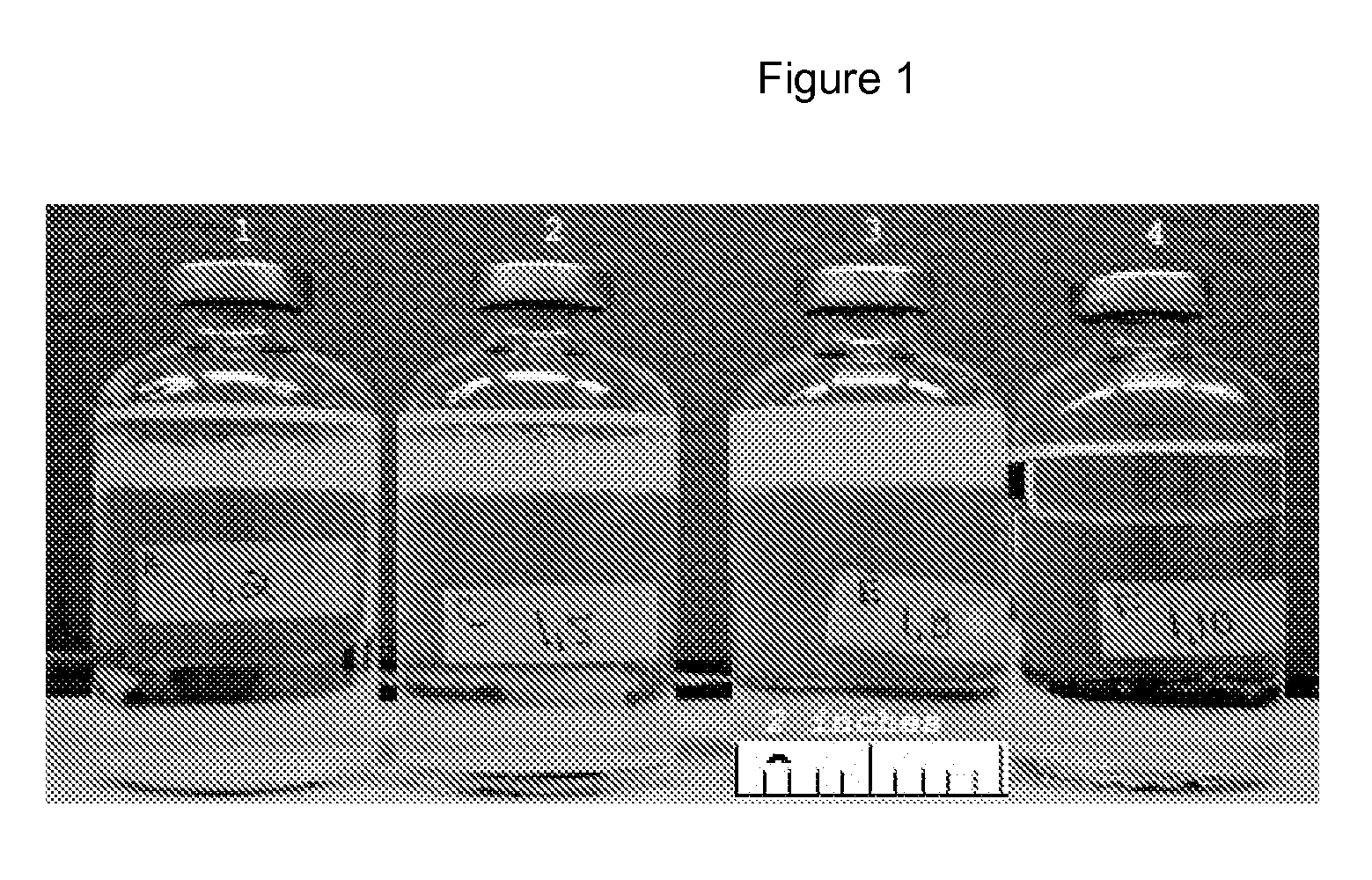 Methods for improved hydrocarbon and water compatibility