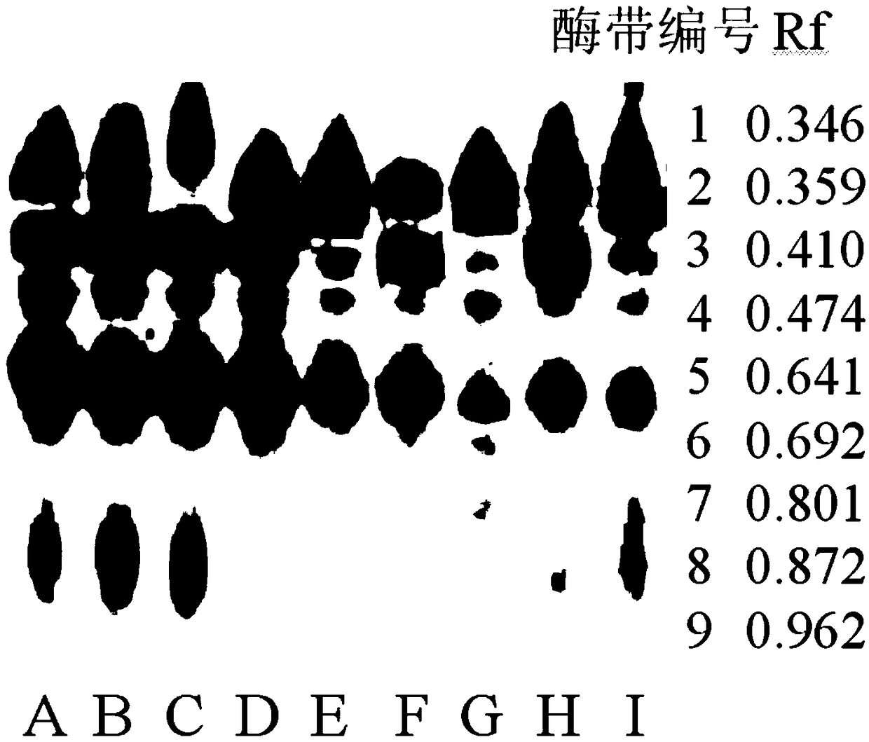 Detection method of pumpkin place of origin