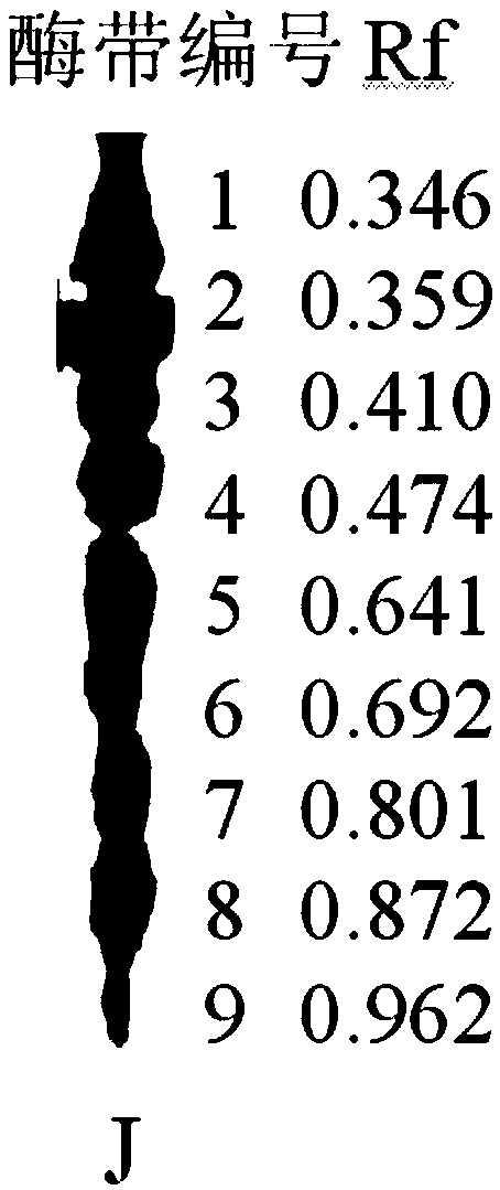 Detection method of pumpkin place of origin