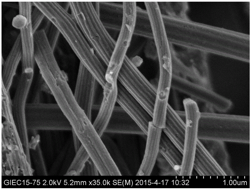 Cobweb-based porous activated carbon fiber material and application