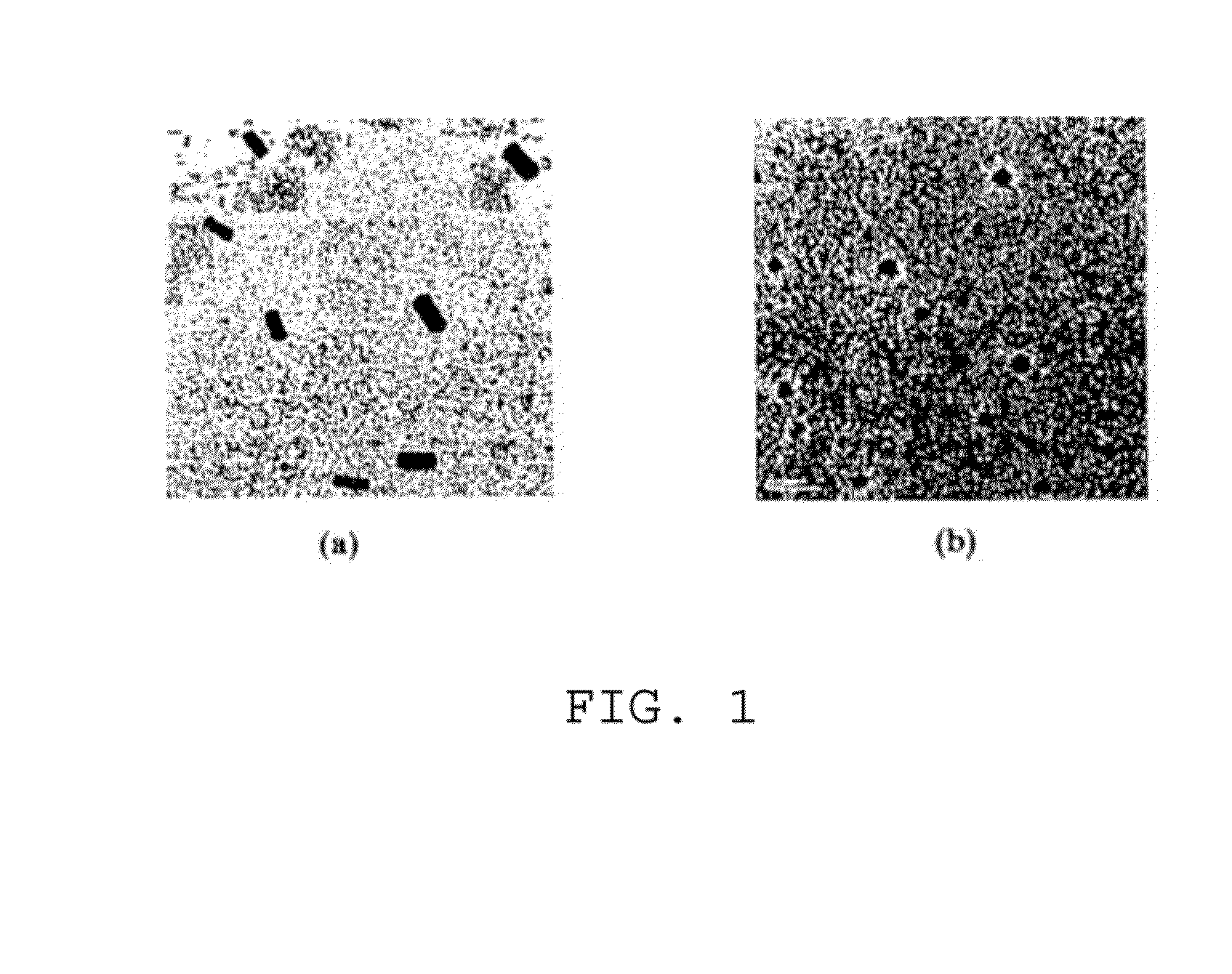 Aqueous Method of Making Magnetic Iron Oxide Nanoparticles