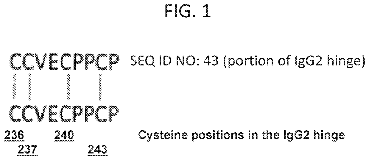 Cysteine-optimized stradomers