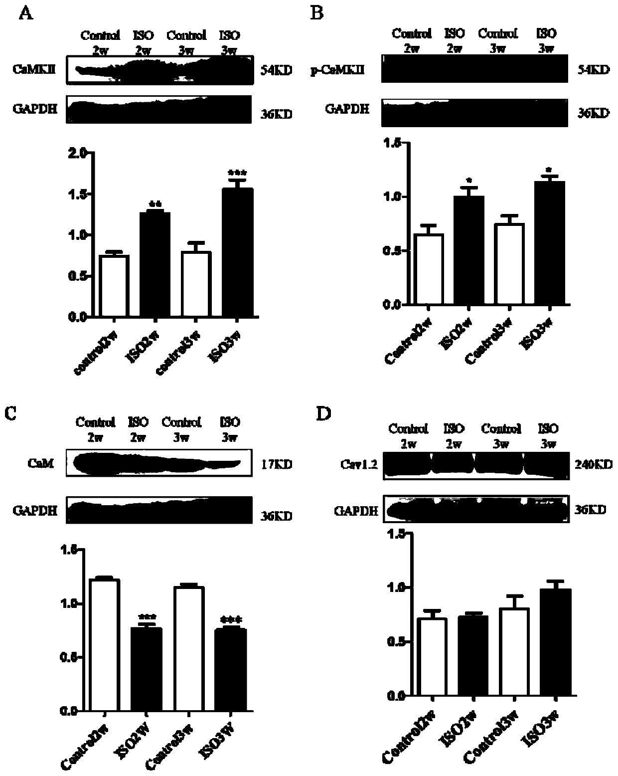 A class of polypeptide drug athycaltide and its application