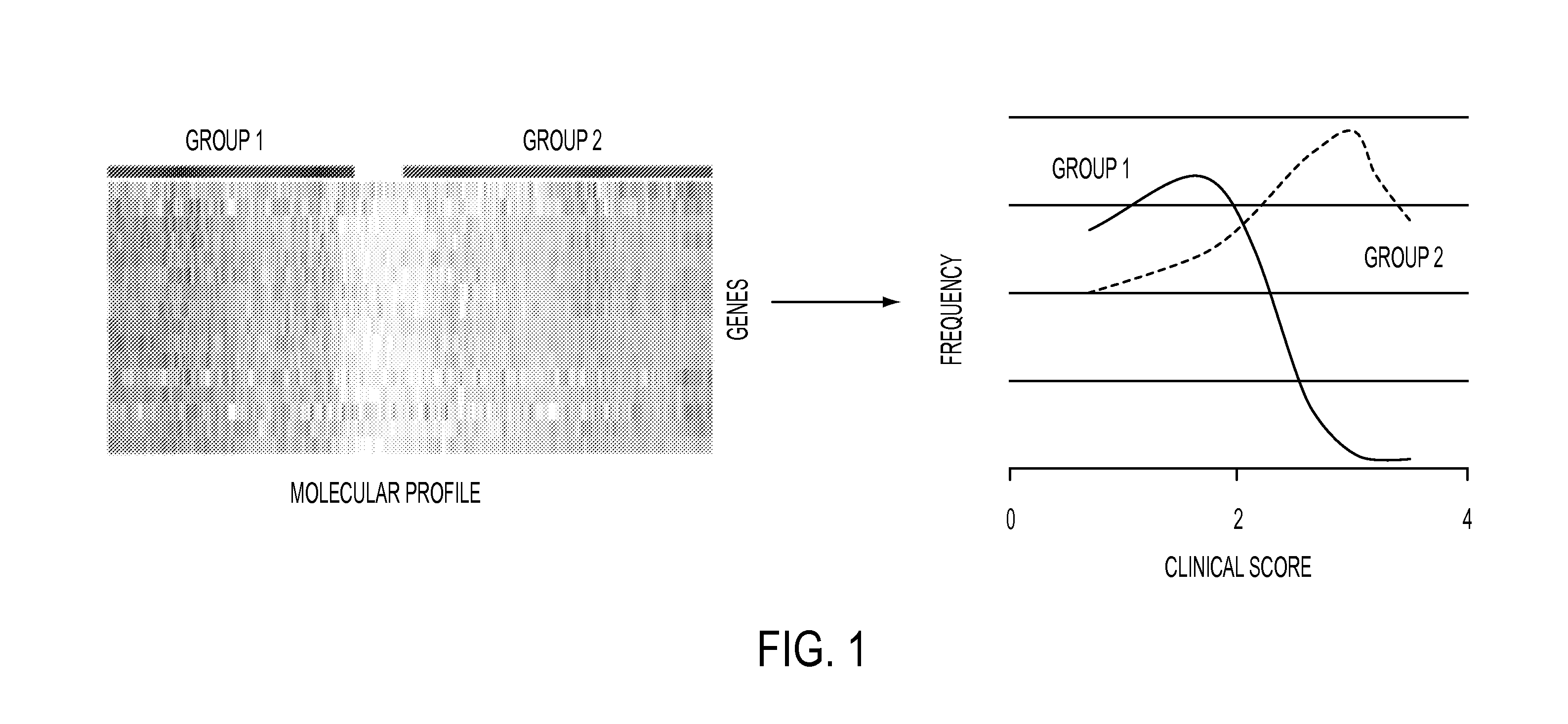 Systems and methods for characterization of multiple sclerosis