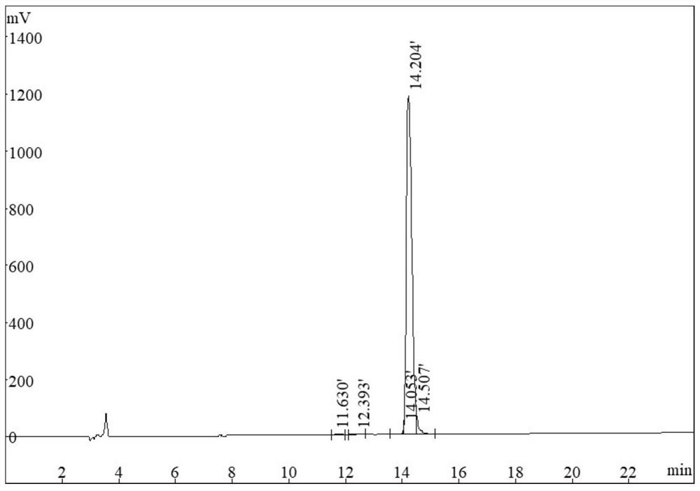 Peptide KC-19 with antibacterial activity