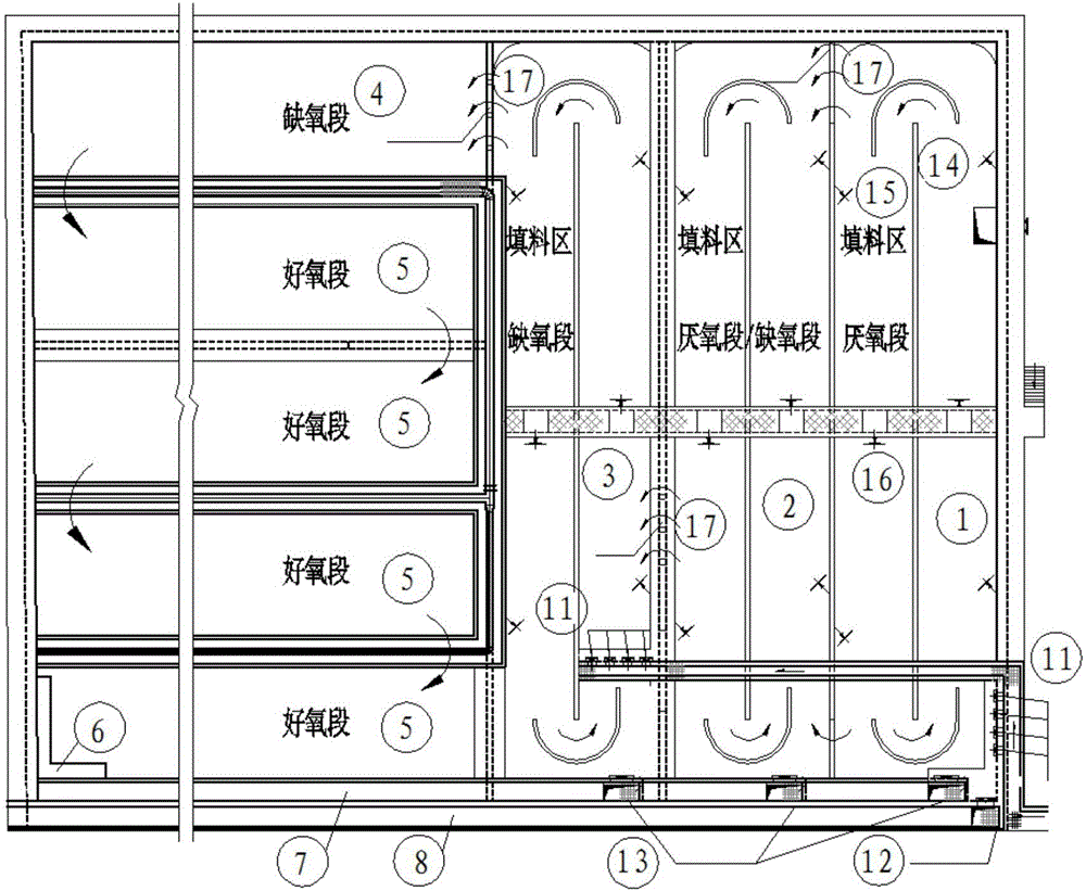 Sewage treatment method and system based on anaerobic-anoxic fluidized biological carrier