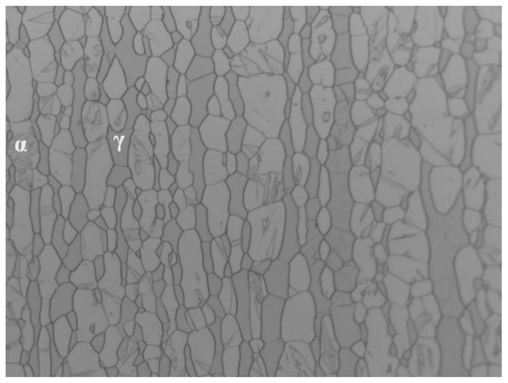 Electrolytic etching method for displaying two-phase structure and grain boundary of duplex stainless steel