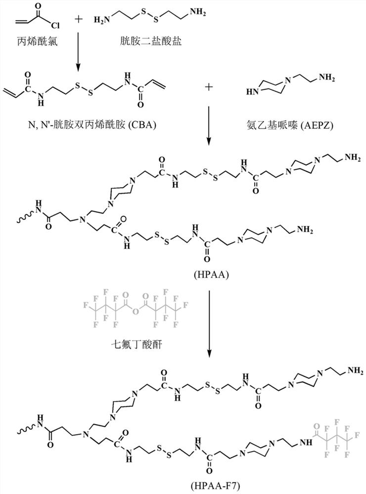 Preparation method of fluorinated poly(amide amine) and its application as vaccine immune adjuvant