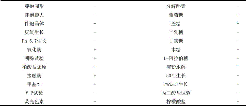 Bacillus amyloliquefaciens ba168 and its fermentation culture method and application