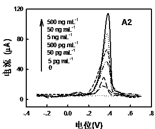 In situ anodic stripping voltammetry method based on metal labeling and bioaffinity