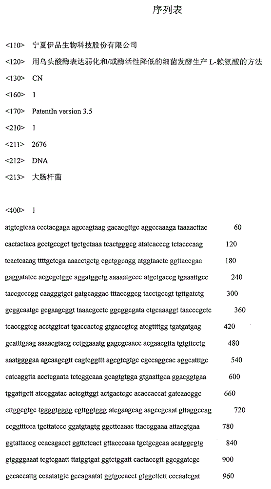 Method for fermenting production of L-lysine through using aconitase expression weakened and/or enzymatic activity reduced bacteria