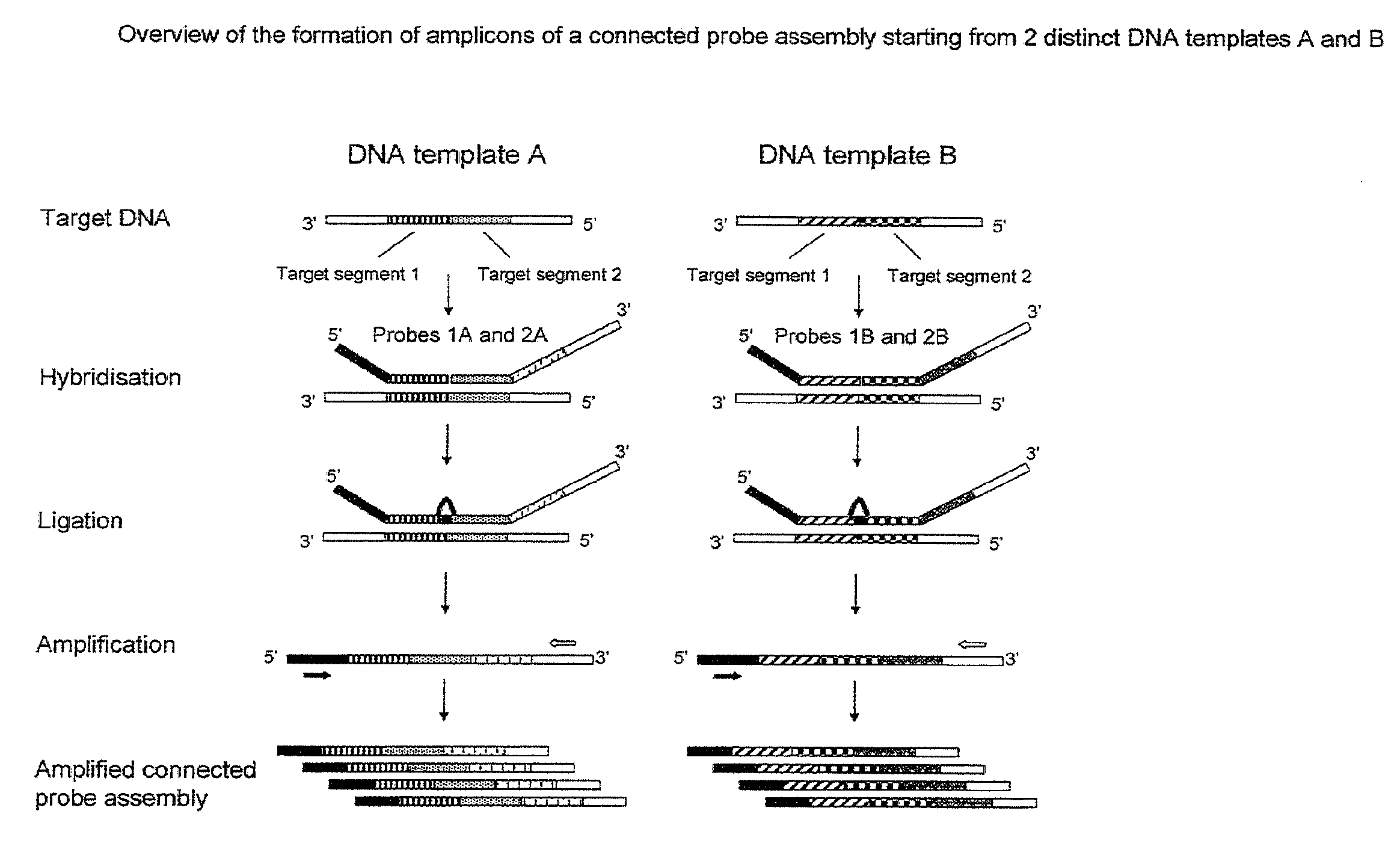 Method for the simultaneous detection of multiple nucleic acid sequences in a sample