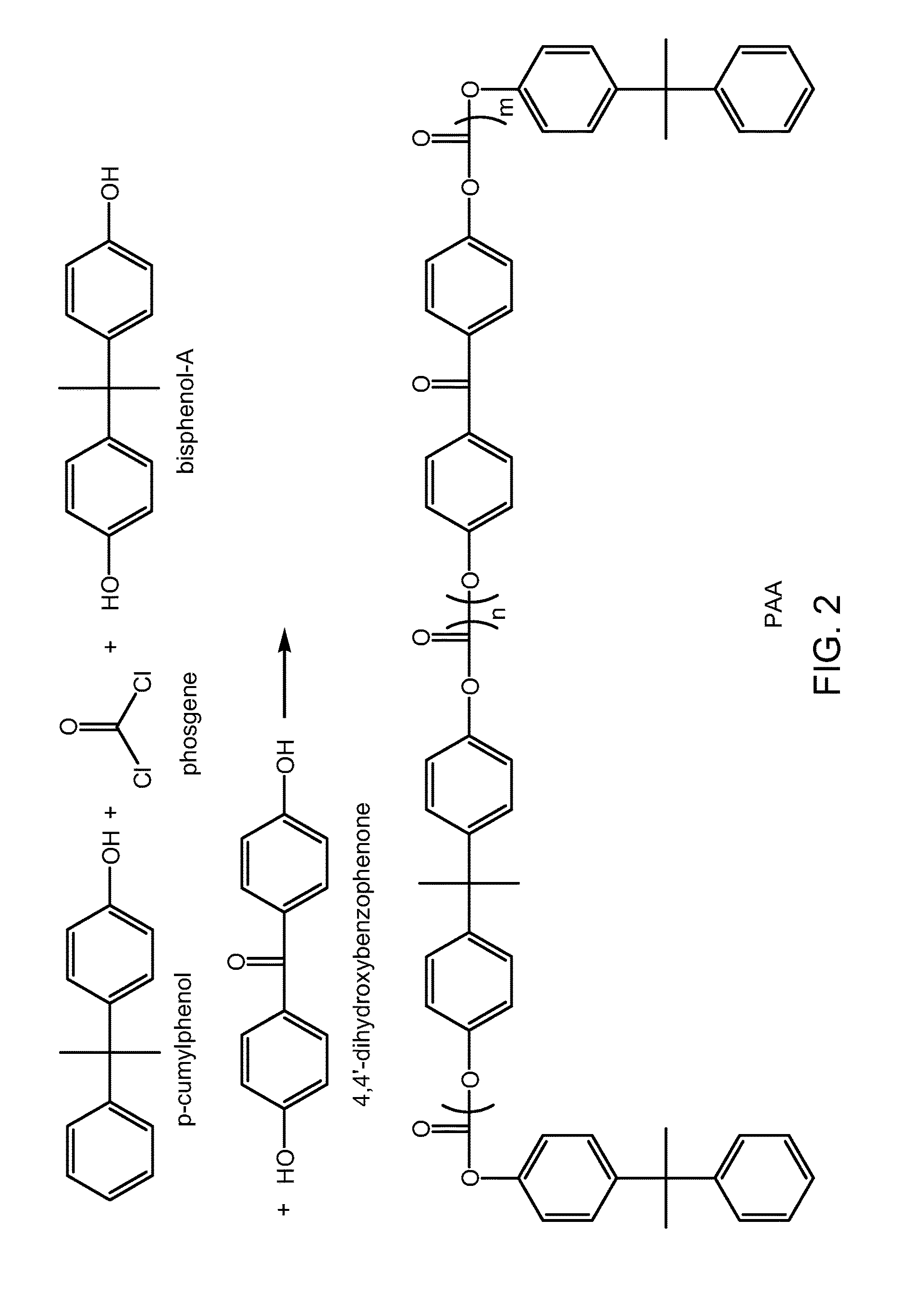 Polycarbonate fibers and substrates comprising same