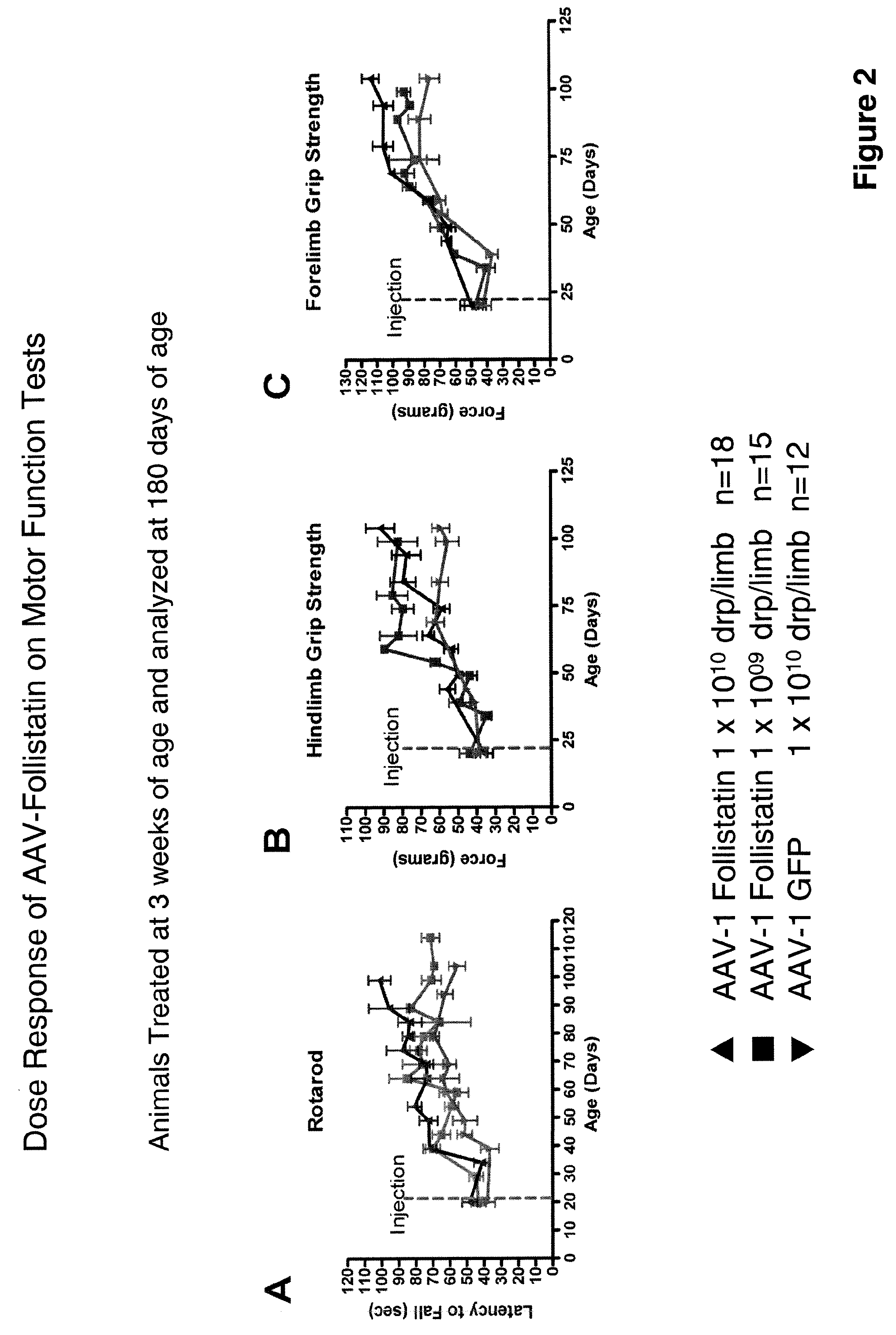 Myostatin Inhibition for Enhancing Muscle and/or Improving Muscle Function