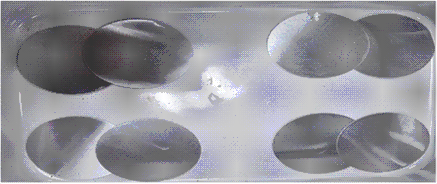 Method adding trace amount of water into rolling oil to increase oil cleanliness