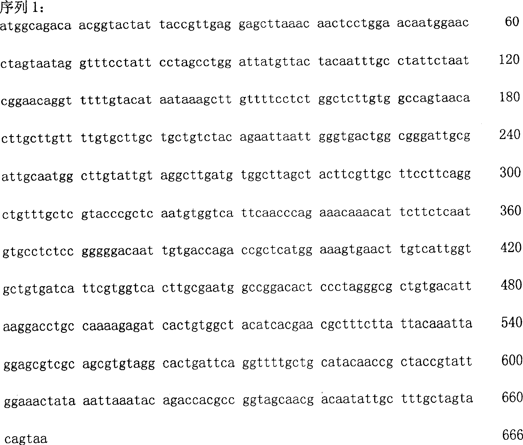 Gene vaccine against SARS virogene and its construction and use