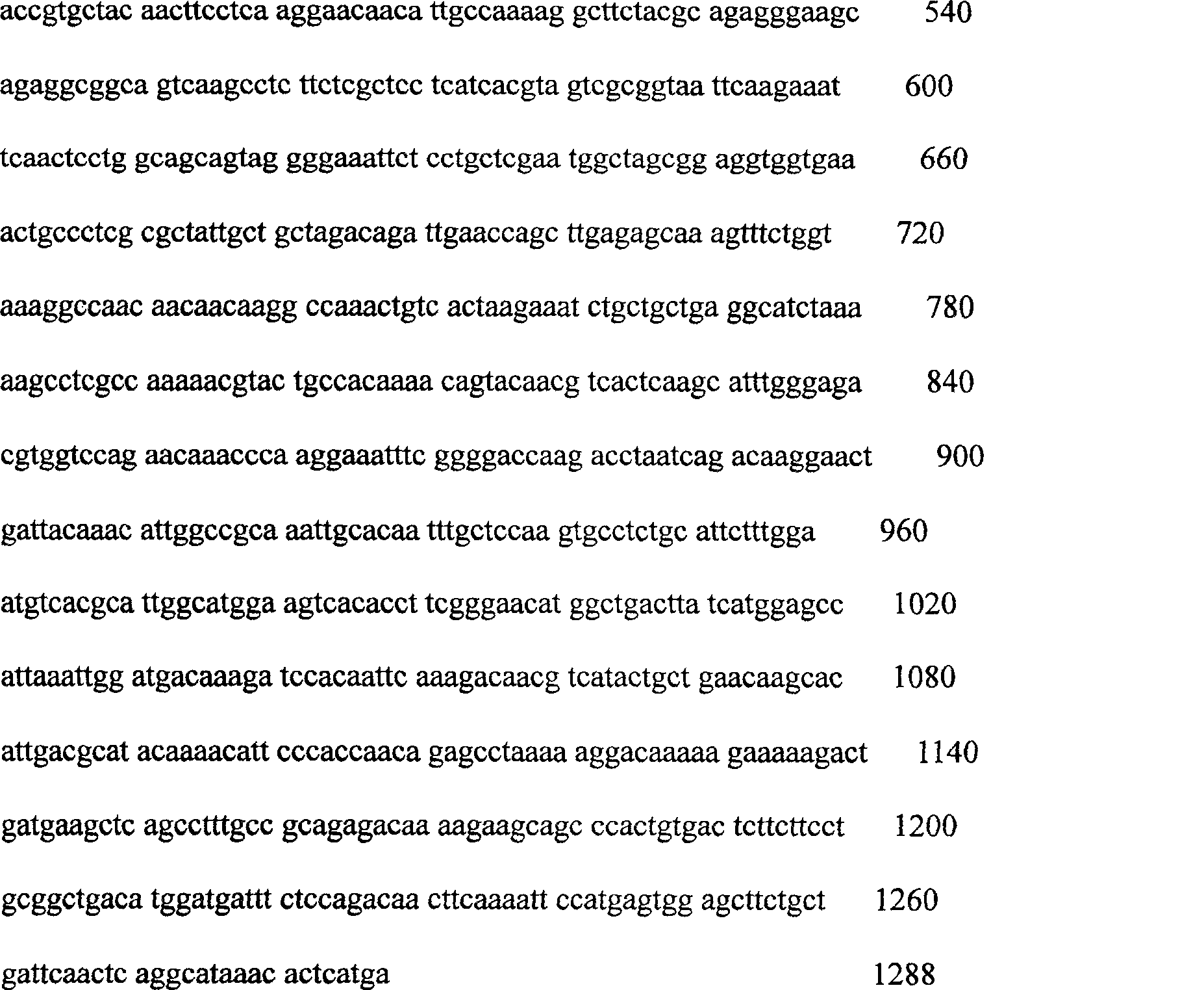 Gene vaccine against SARS virogene and its construction and use