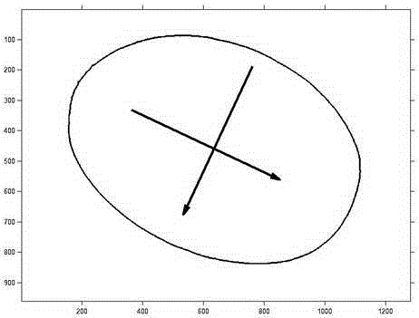 Ellipsoidal fruit dimension rapid detection method based on characteristic vector orientation