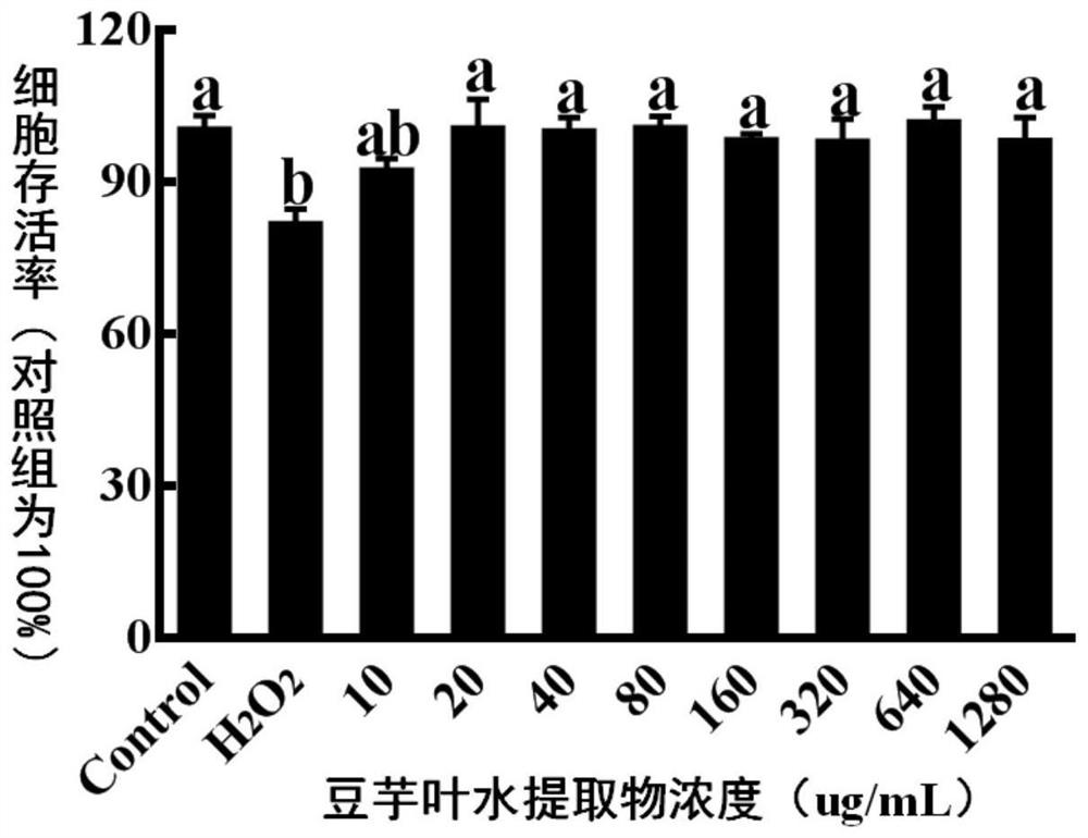 Preparation method and antioxidant application of bean taro leaf water extract