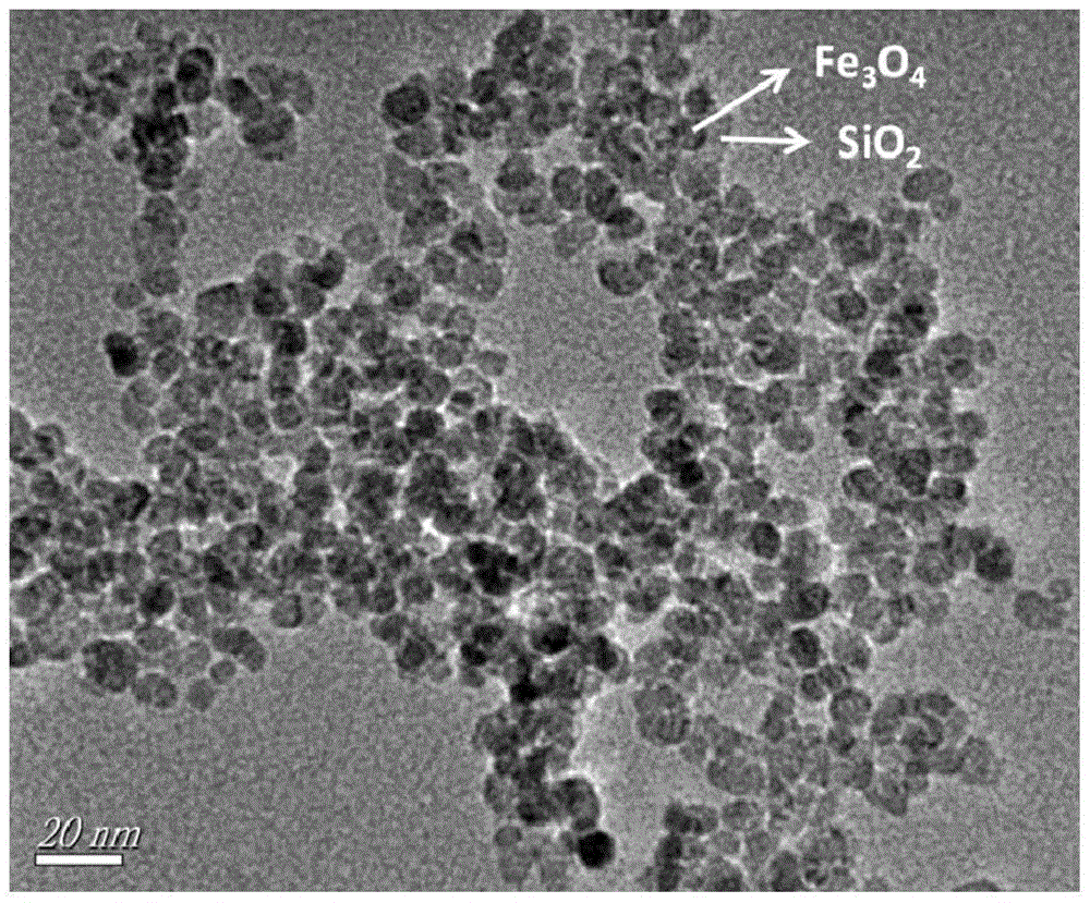 Preparation method of FexOy/SiO2 aerogel nano-composite