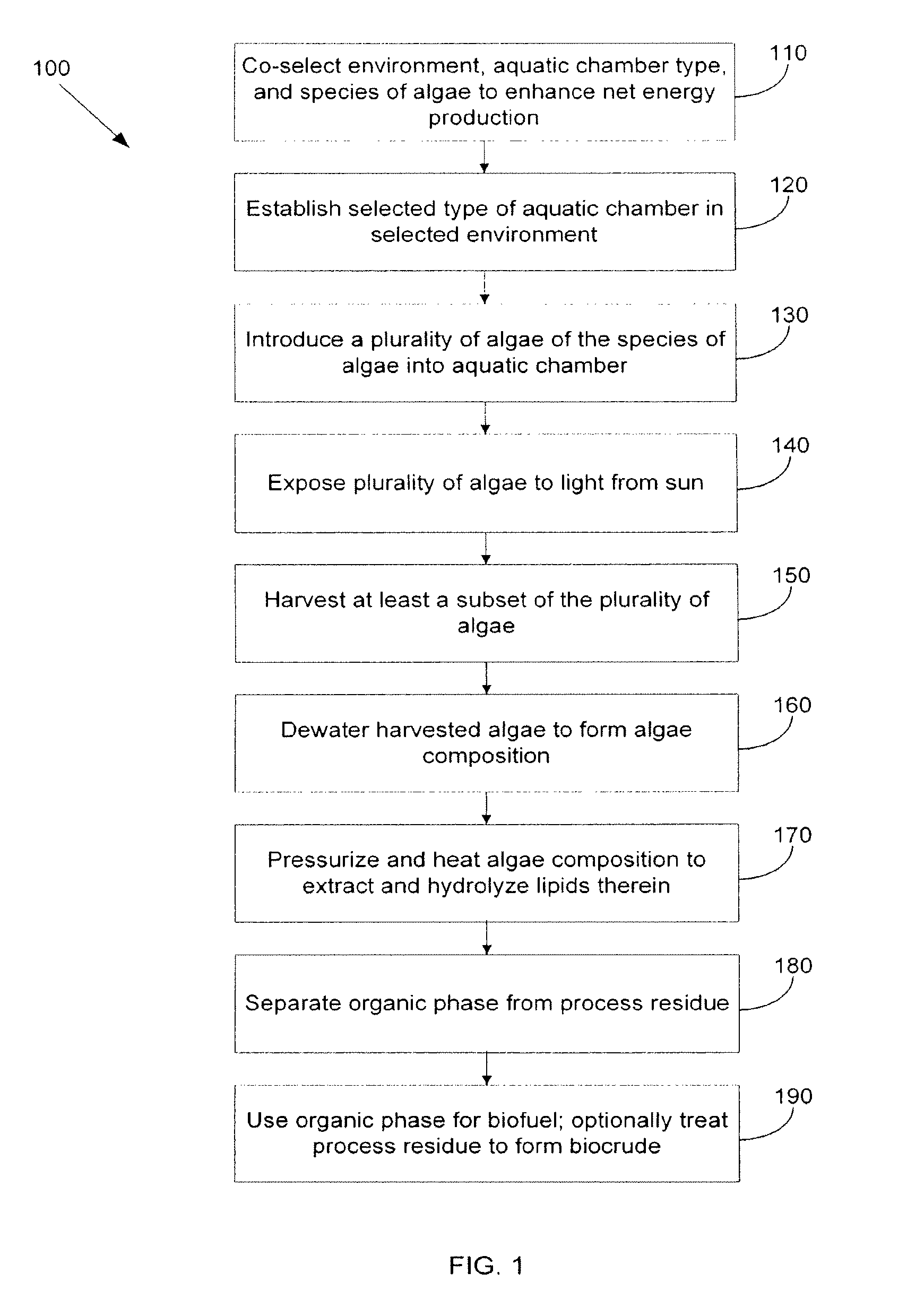 Systems and methods for hydrothermal conversion of algae into biofuel