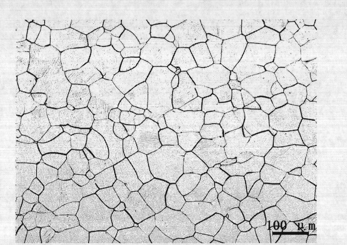 Observation method of Ti-Ni alloy metallographic structure