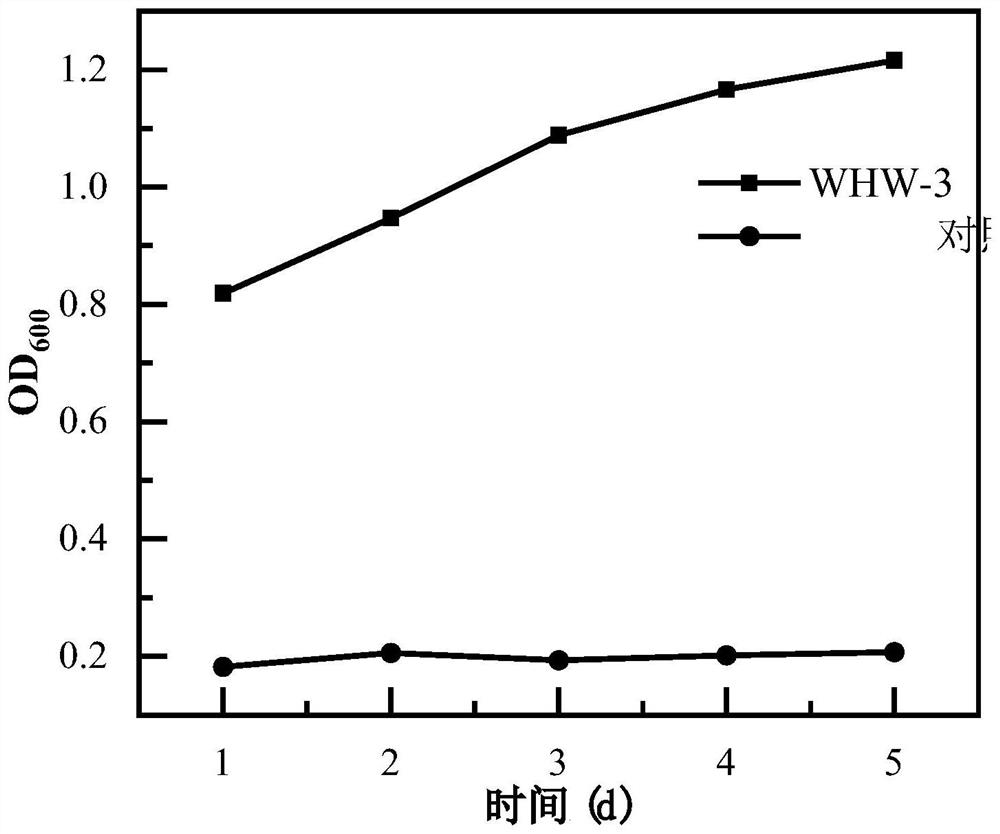 Method for in-situ remediation of soil polluted by arsenic and tetracycline hydrochloride through bacteria and application