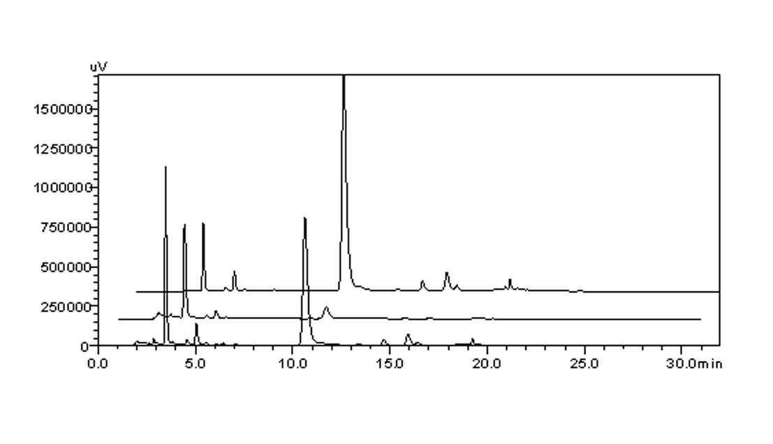 Method for non column chromatography separation and purification of witloof acid from Echinacea purpurea extractive