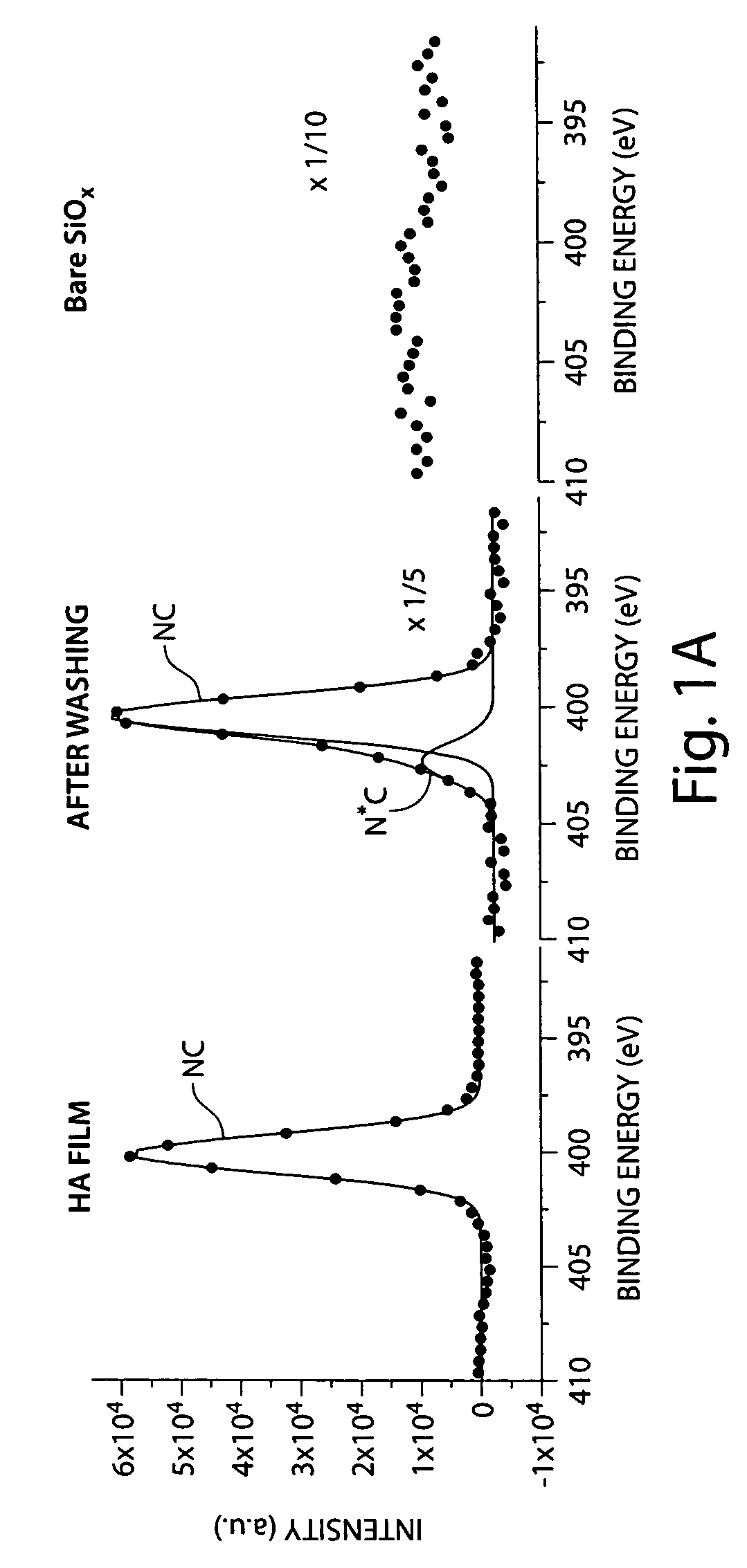 Biologically active surfaces and methods of their use