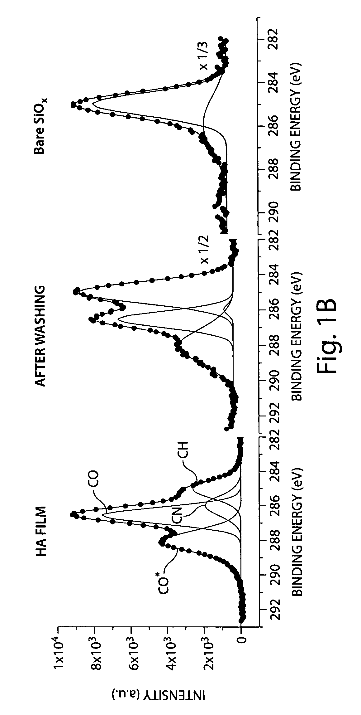 Biologically active surfaces and methods of their use