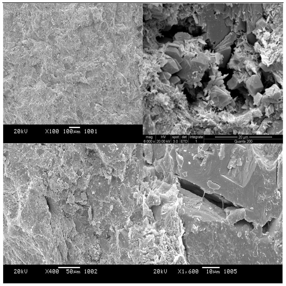 A Method for Predicting Brittleness of Tight Oil Reservoirs