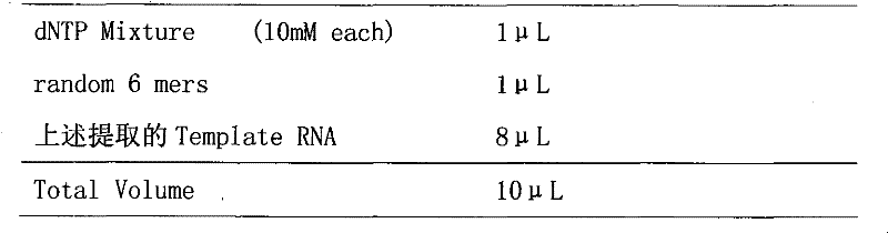 Avian infectious bronchitis virus (IBV) as well as culture method and application thereof