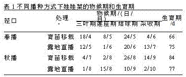 Vegetable cultivation equipment and cultivation method thereof