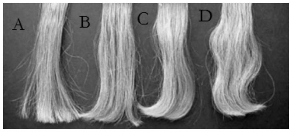 Conditioner and preparation method thereof