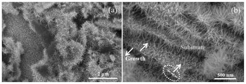 Preparation and application of SnO2 nanorod array/reduced graphene oxide composite nanomaterial sensitive to formaldehyde gas
