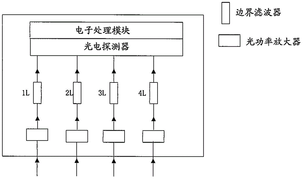 Optical line terminal and optical network unit