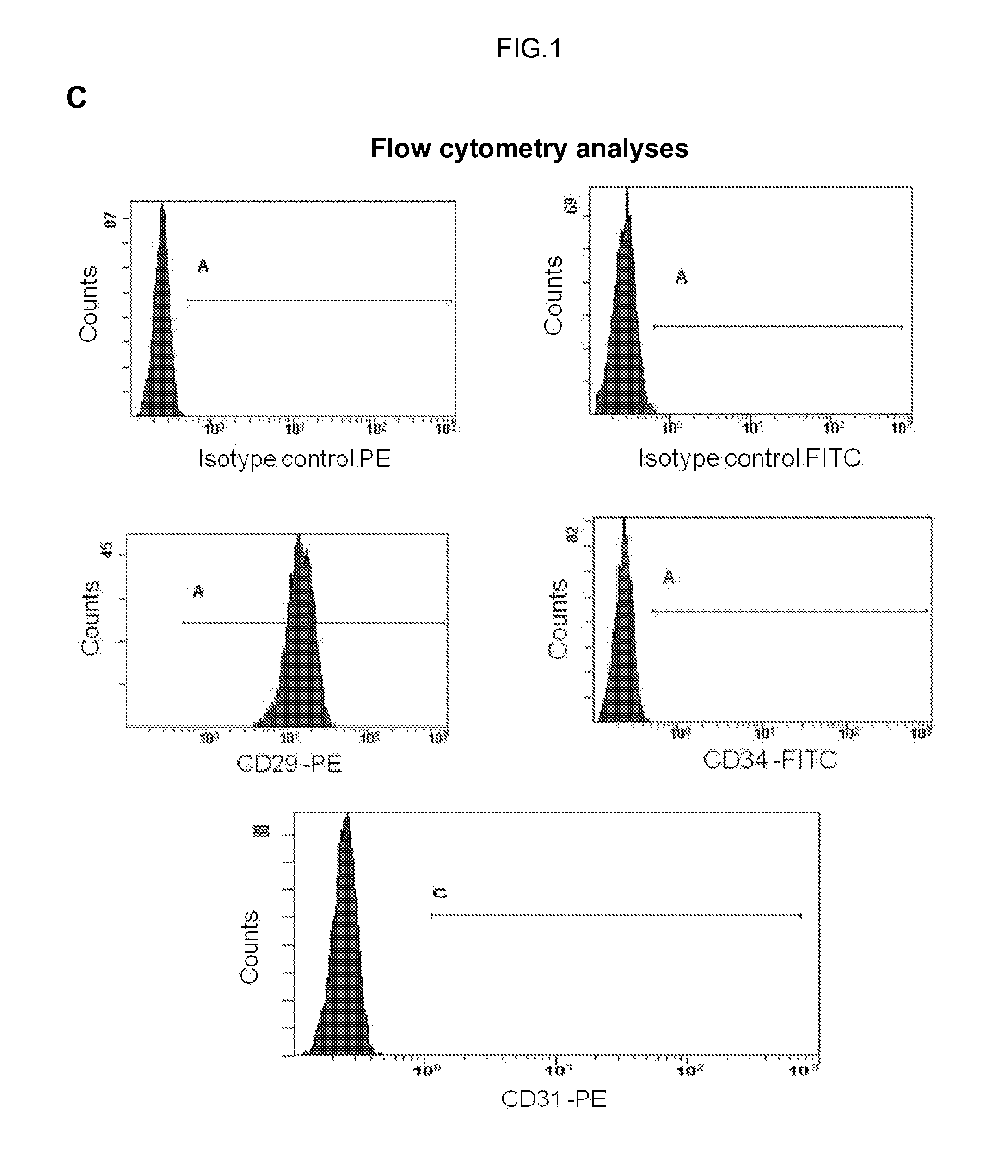 Human uterine cervical stem cell population and uses thereof