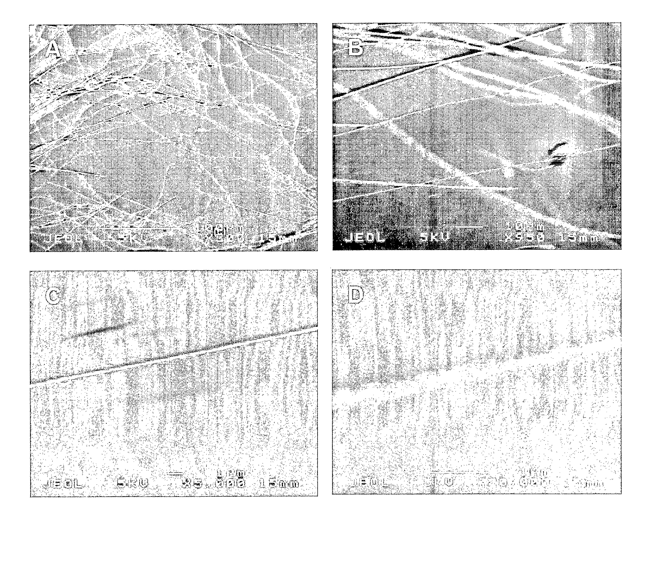 Peptide Nanostructures Containing End-Capping Modified Peptides And Methods Of Generating And Using The Same