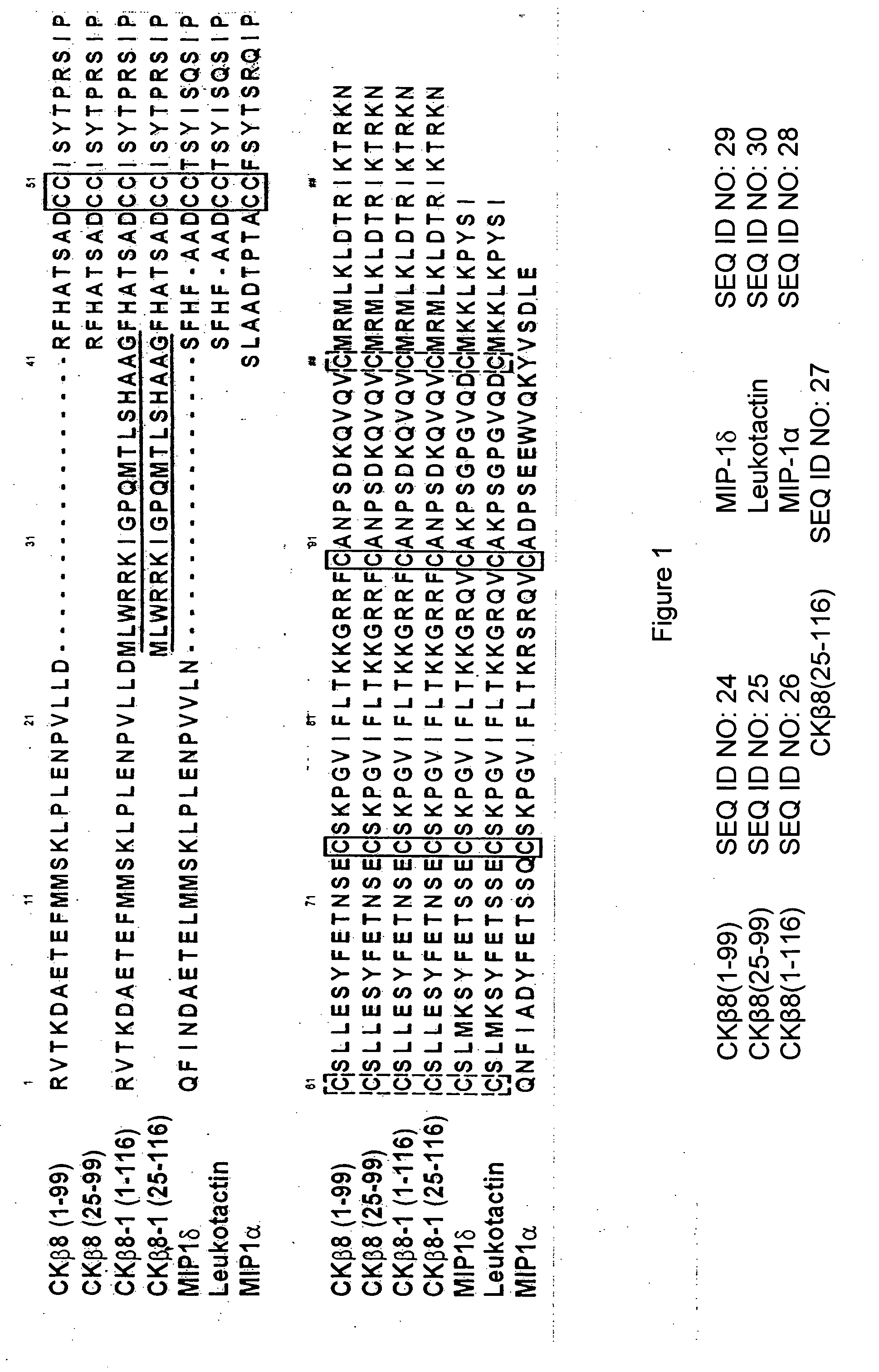 Compositions and methods for enhancing immunity by chemoattractant adjuvants
