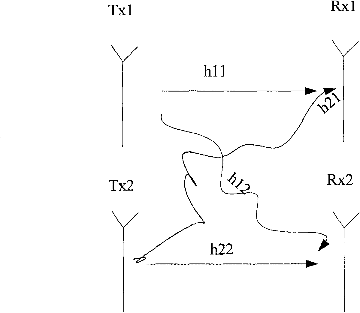 Signal precoding method